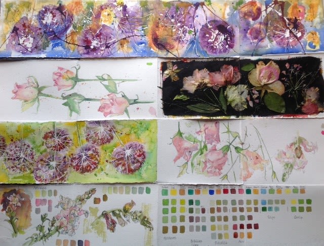 flower sketches